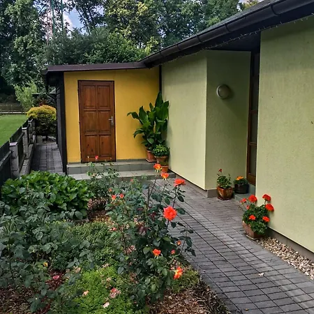 Вилла Trebec House Borovany  Экстерьер фото