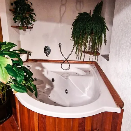 Вилла Trebec House Borovany  Экстерьер фото